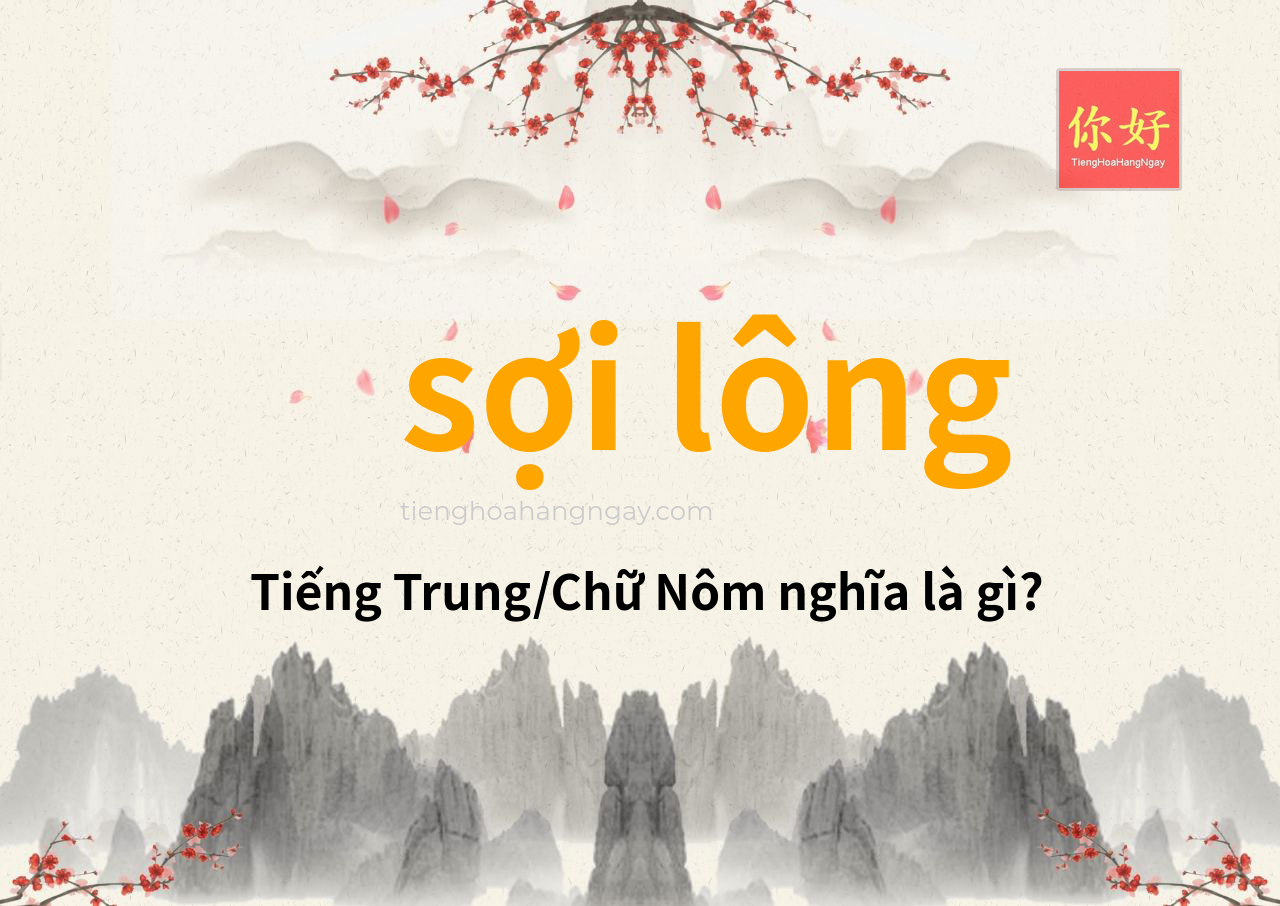 sợi lông tiếng Trung là gì?